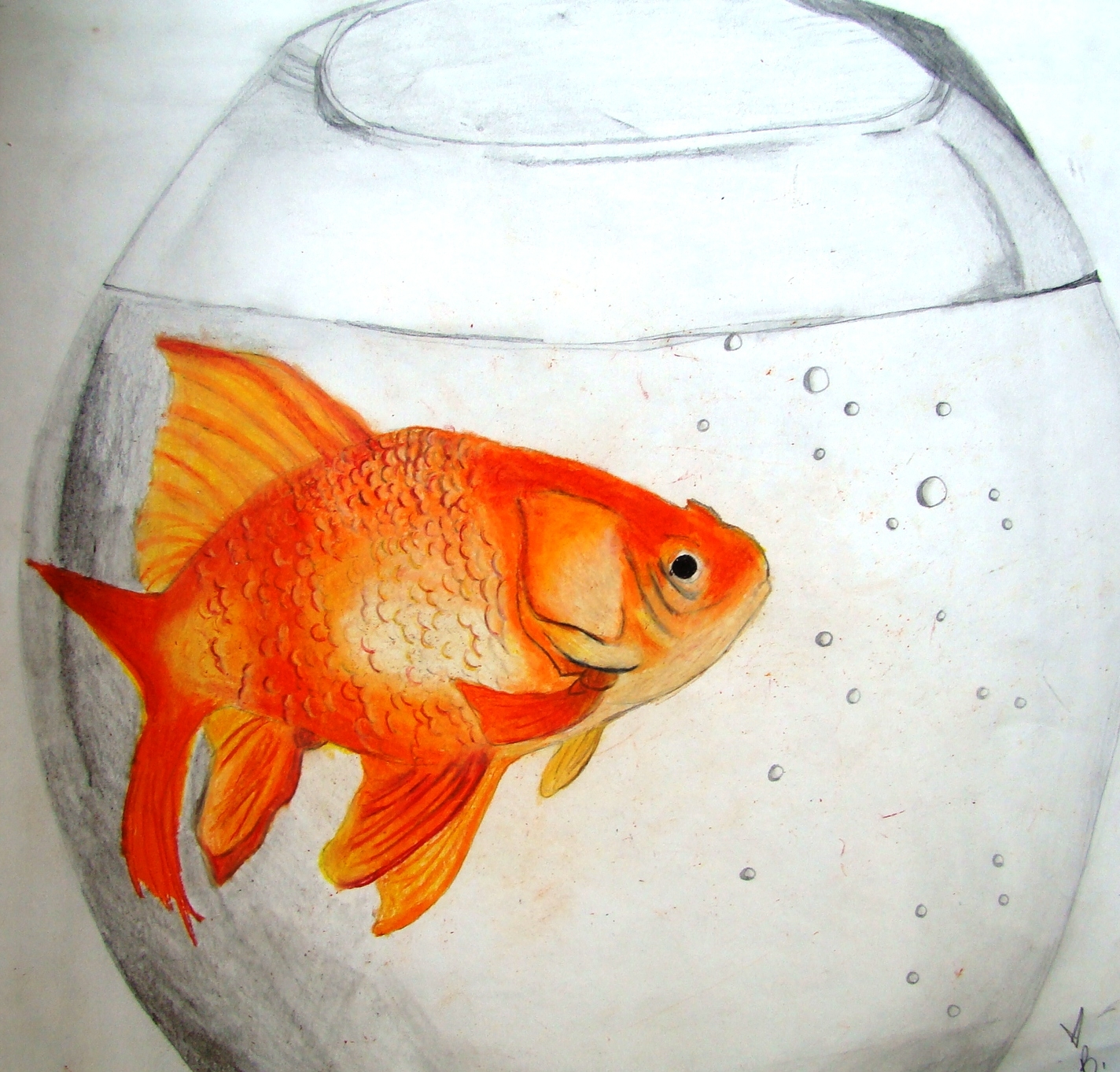 Рисования рыбки плавают в аквариуме. Рыбки в аквариуме рисование. Золотая рыбка в аквариуме. Аквариум карандашом с рыбками. Аквариум с рыбками рисунок.