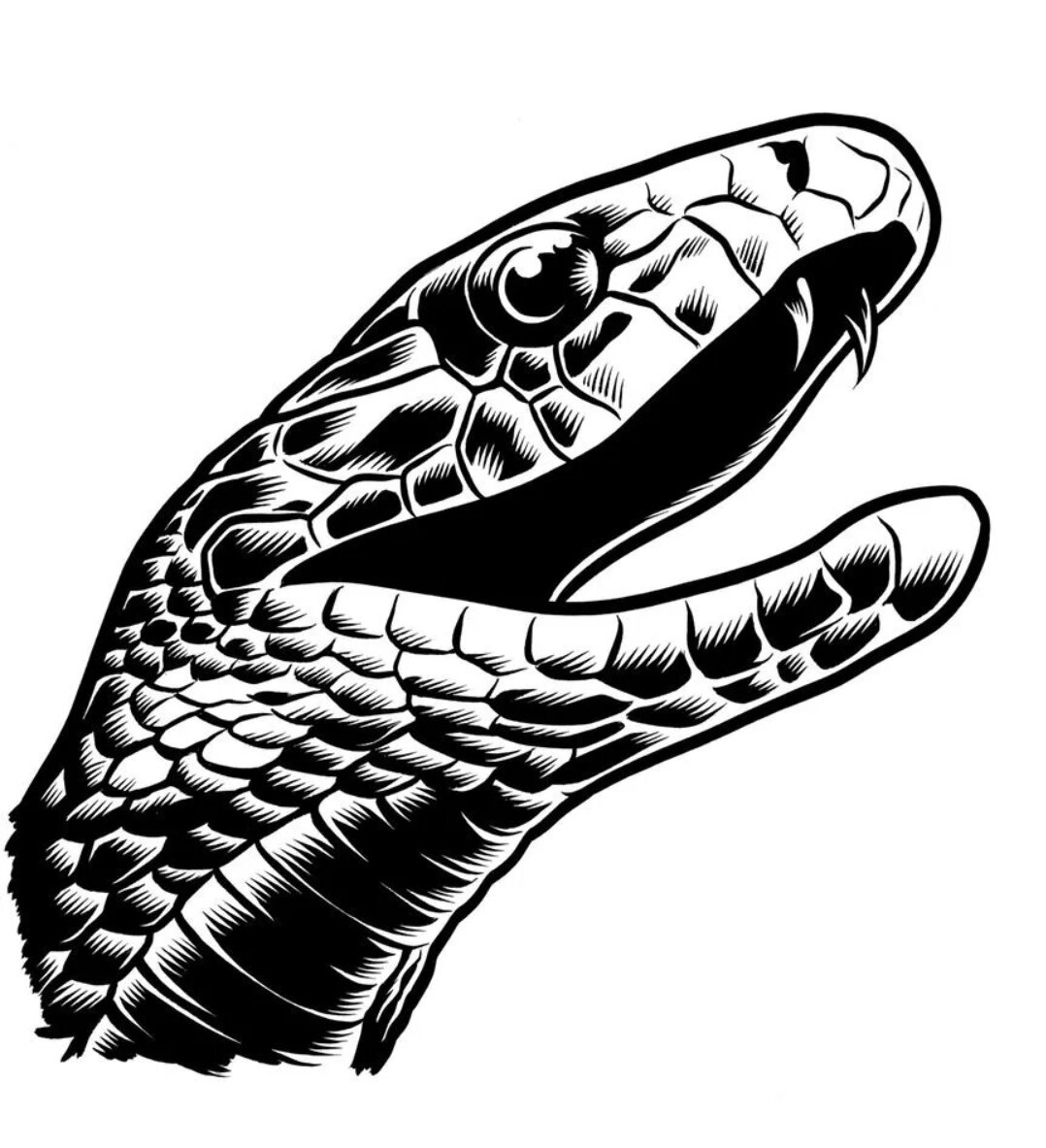 Голова змеи тату эскиз | Эскизы татуировок, Эскиз, Мастер тату