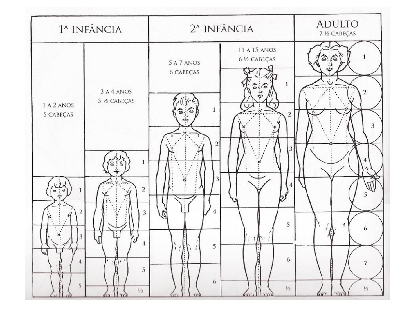 Сколько голов в взрослом человеке. Схема пропорций тела ребенка. Пропорции фигуры ребенка в рисунке. Пропорции тела подростка девочки схема. Анатомия пропорции тела ребенка.