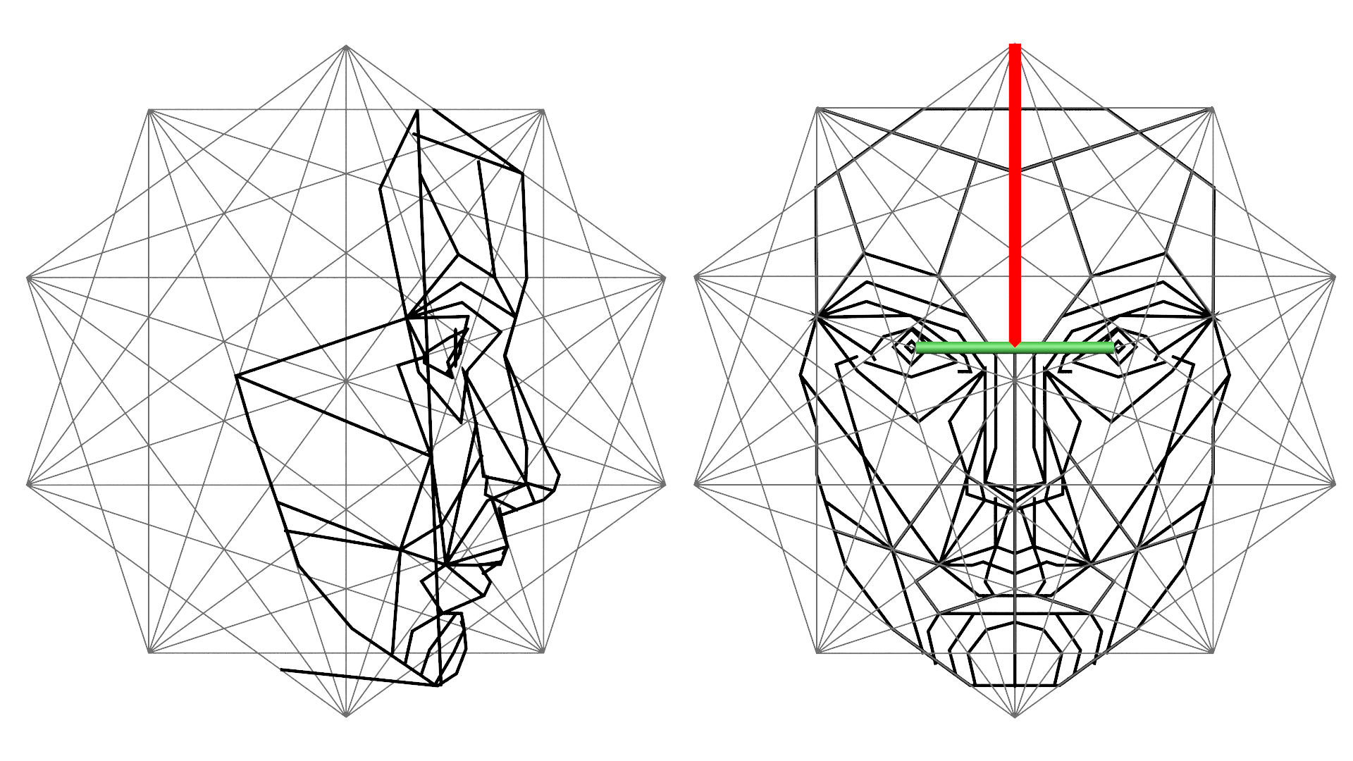 Замечательная геометрия. Маска Стивена Марквардта. Золотая симметрия золотое сечение.