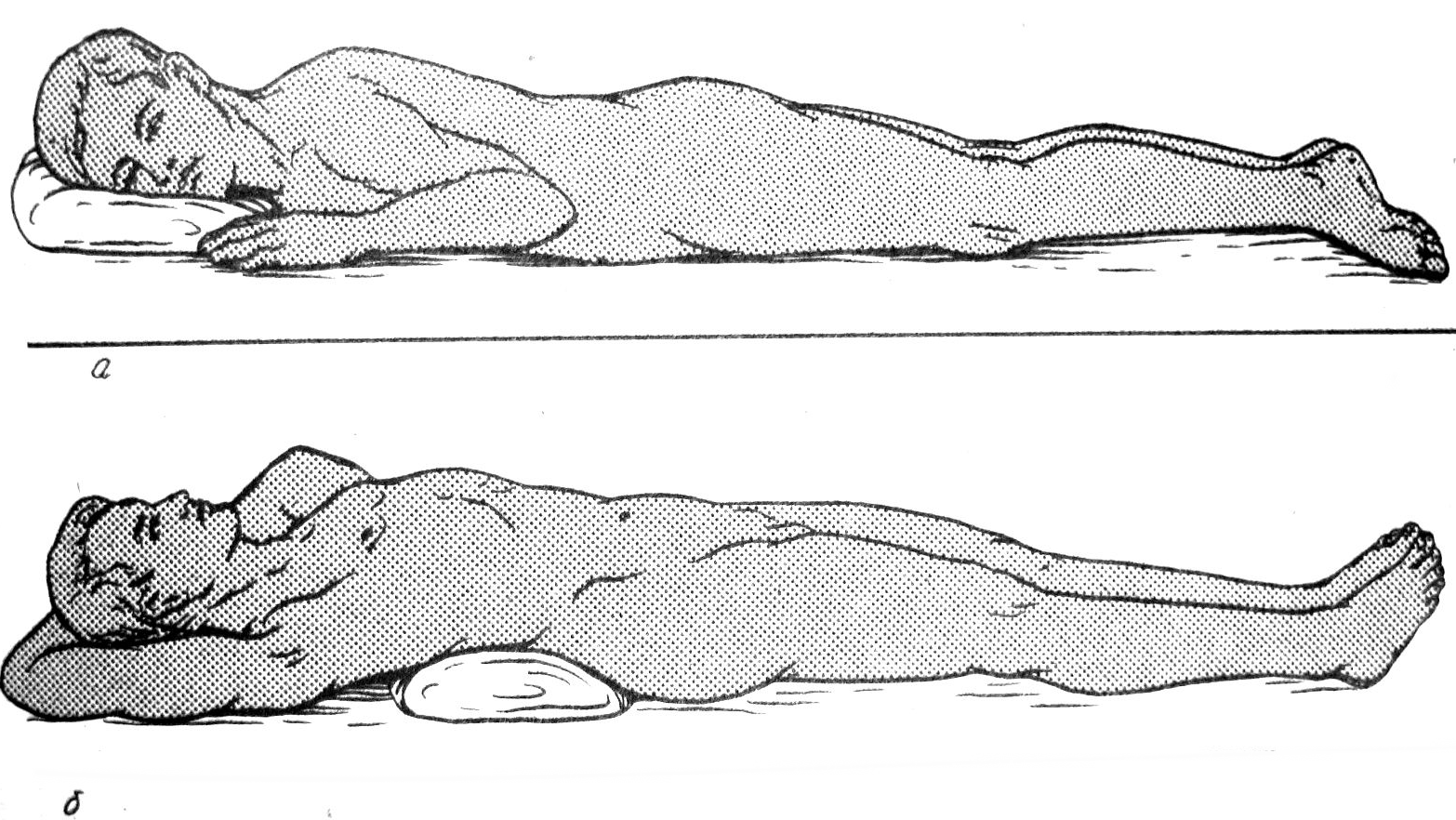 Гимнастика для укрепления мышц спины и живота