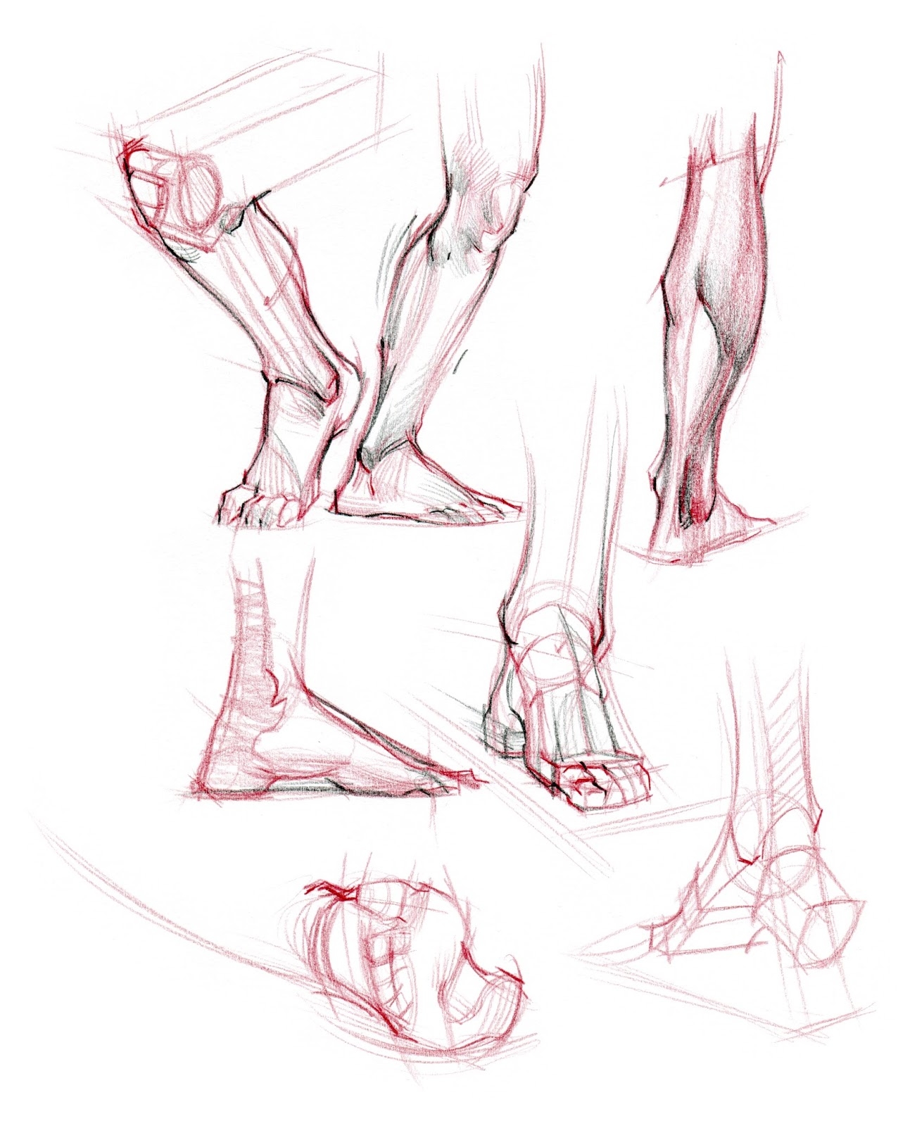 Ступня анатомия. Рыжкин анатомия ноги. Анатомия кости референс ноги. Стопа анатомия. Анатомия стопы для художников.