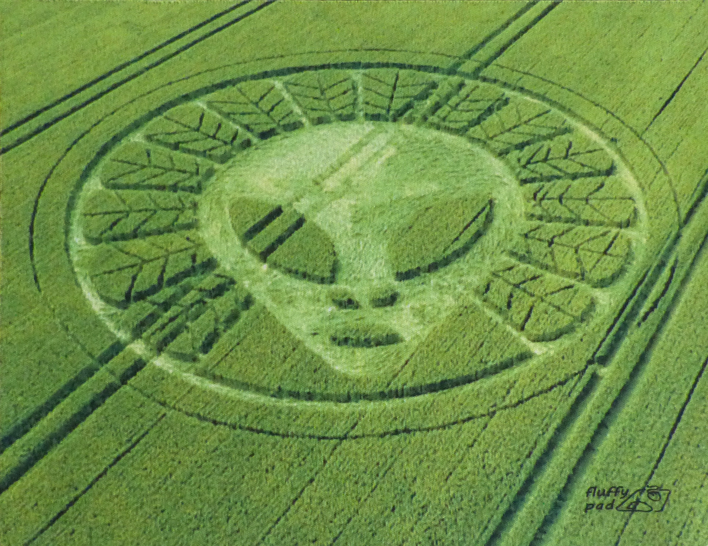 Круги на поле телеграмм. Древние пришельцы круги на полях. Круги на полях НЛО. Круги на полях в Англии.