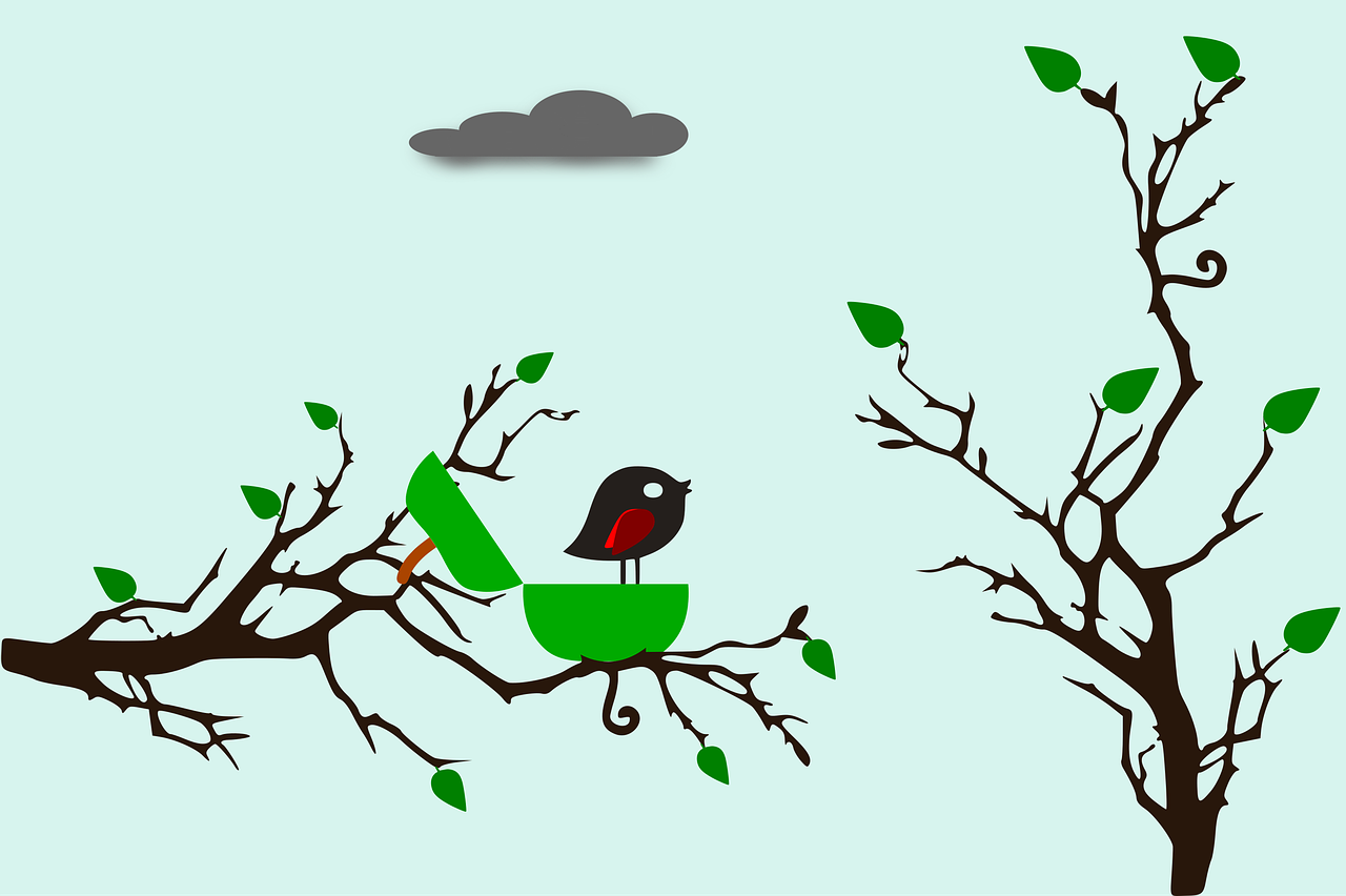 Птичка на дереве. Деревце с птичками на ветках. Птички на дереве для детей. Рисование птица на дереве.