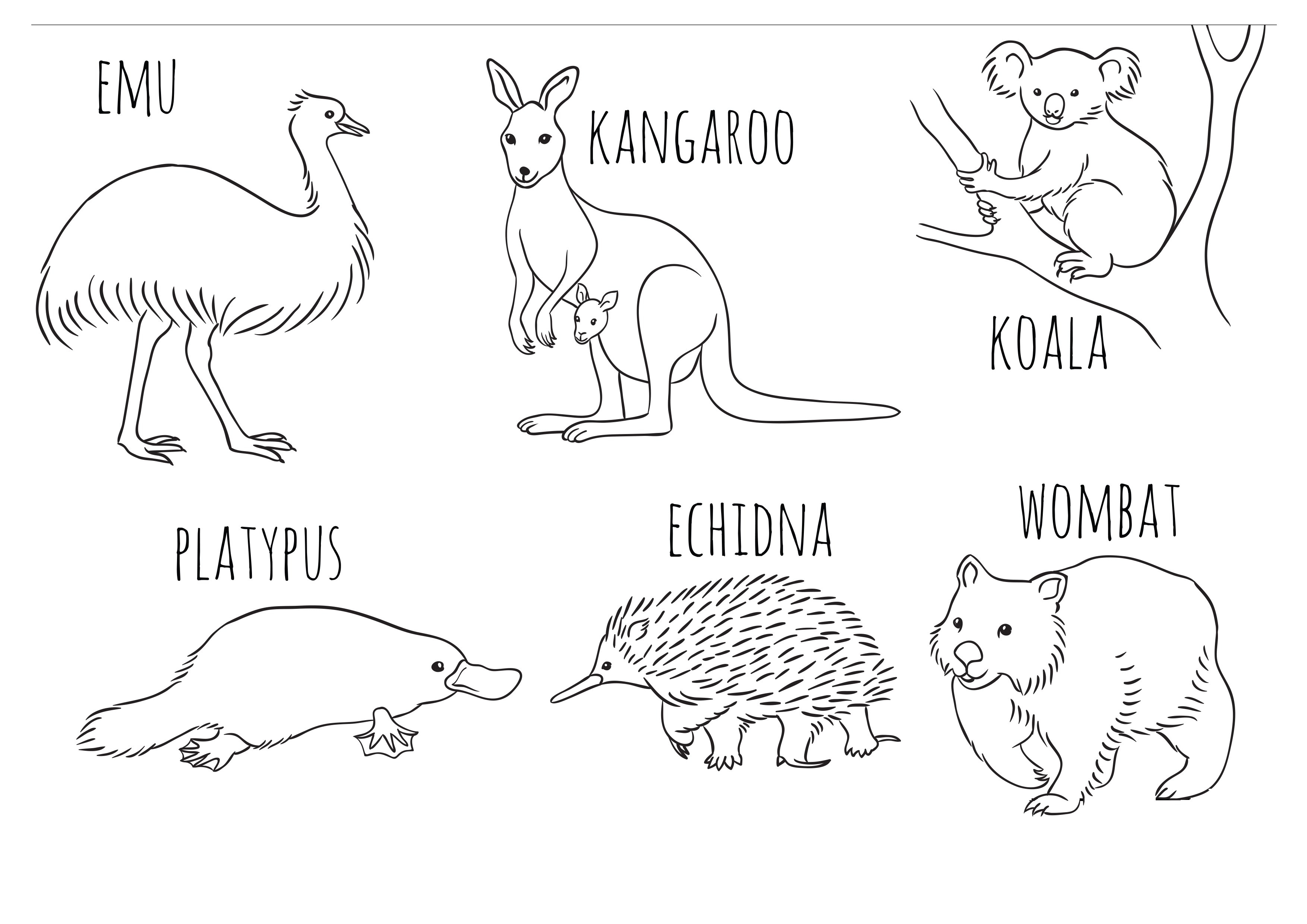 Волшебные водные раскраски. Животные Австралии. Crystal Book F00024255
