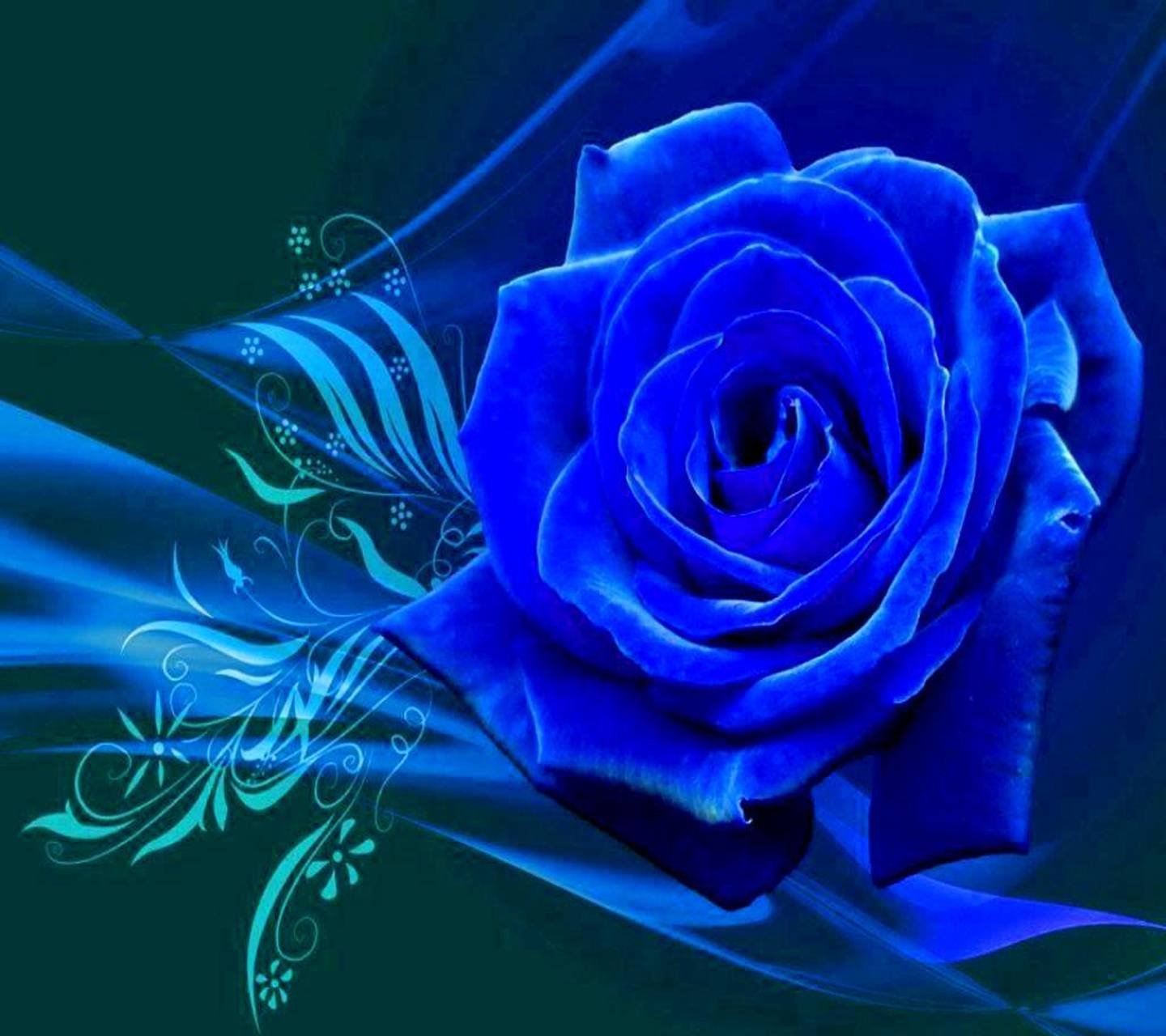 Открытки синего цвета. Синие цветы. Красивый синий цвет. Красивые синие цветы.