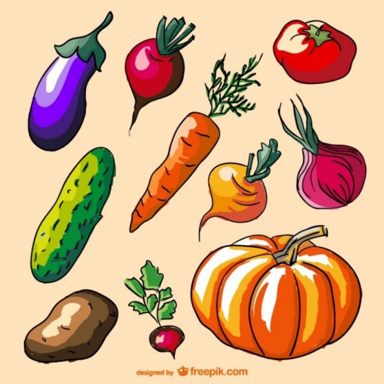 Рисунки овощи
