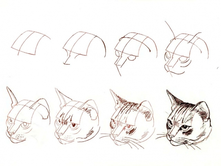 Голова кошки рисунок