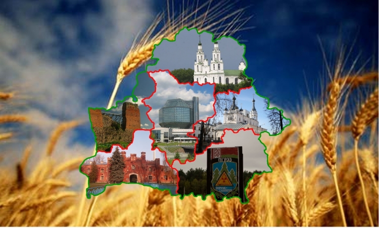 Аист на озере