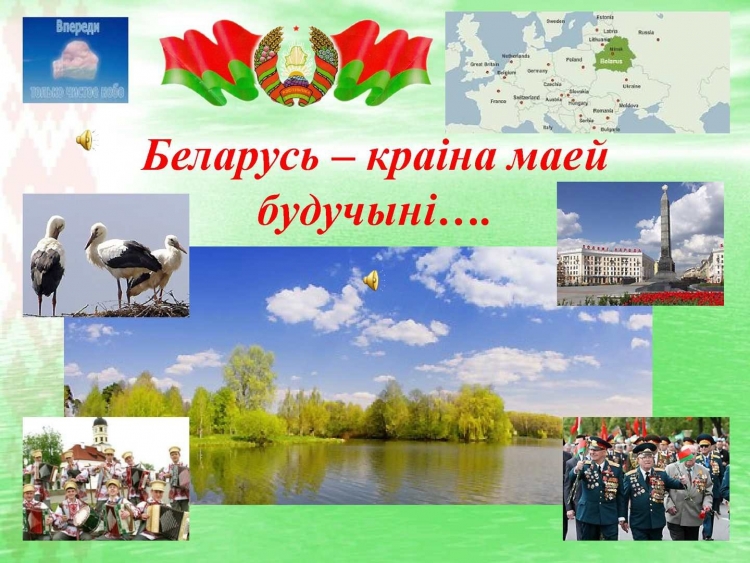Алмазное хобби / алмазная мозаика "семья аистов", 50х60