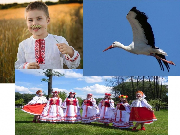 Наше мирное небо рисунки