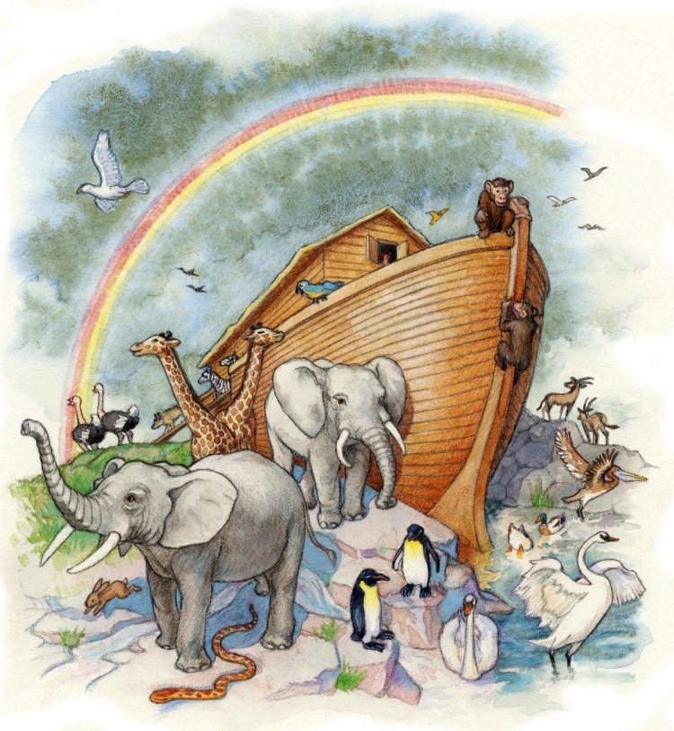 Ковчег Noah
