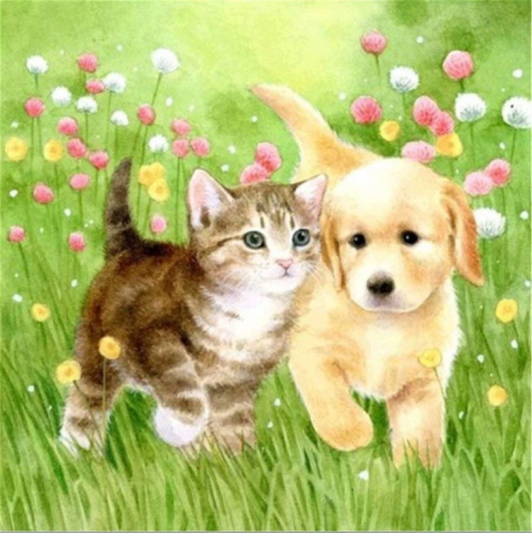 Собака и кот рисунок