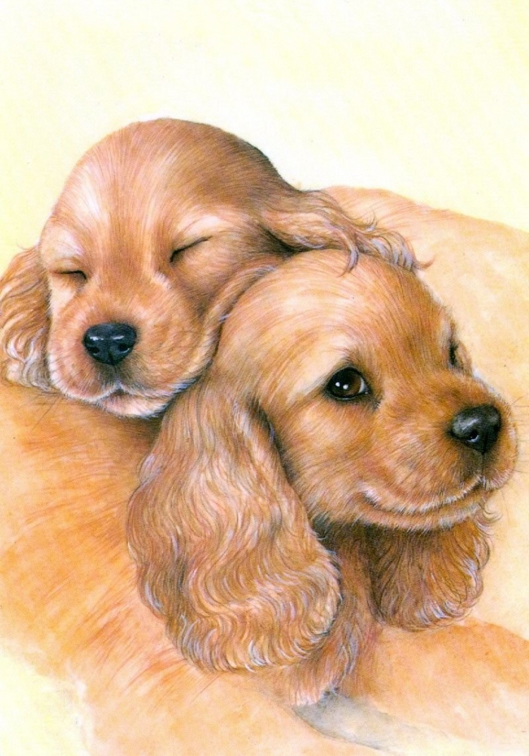 Милые собаки рисунки