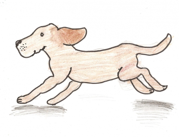 Бегущая собака рисунок