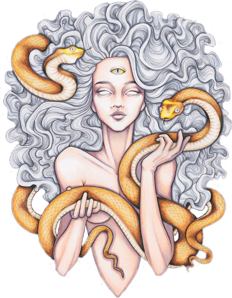 Медуза Горгона / Medusa Gorgon