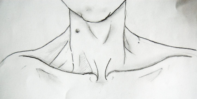 Ключицы рисунок