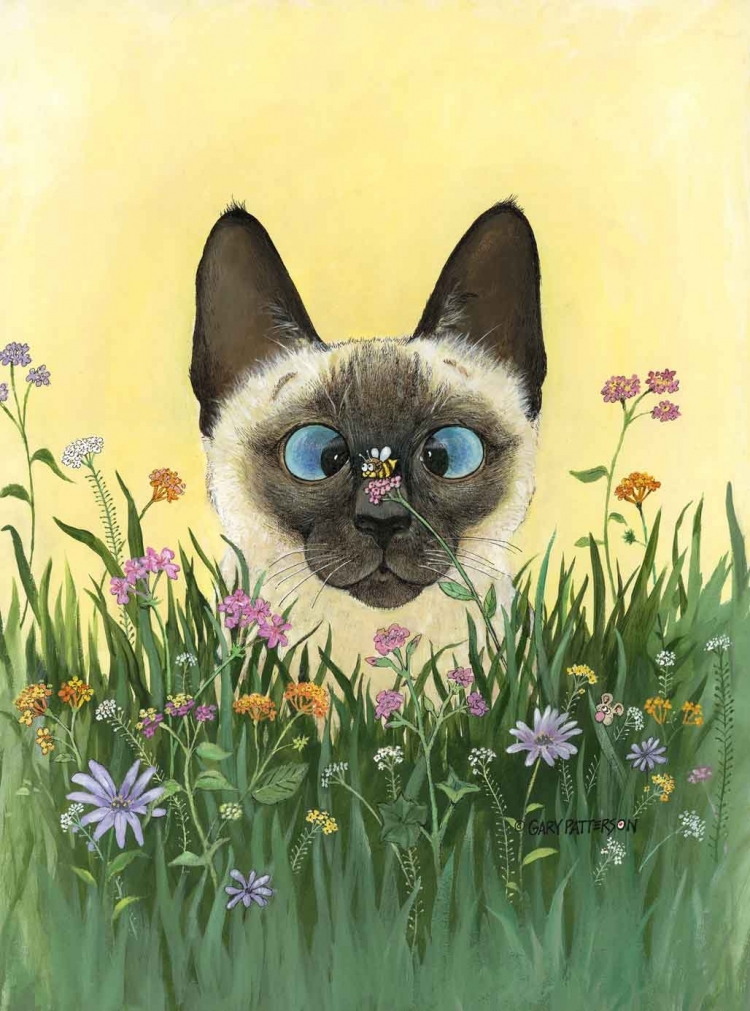 Котики мультяшные
