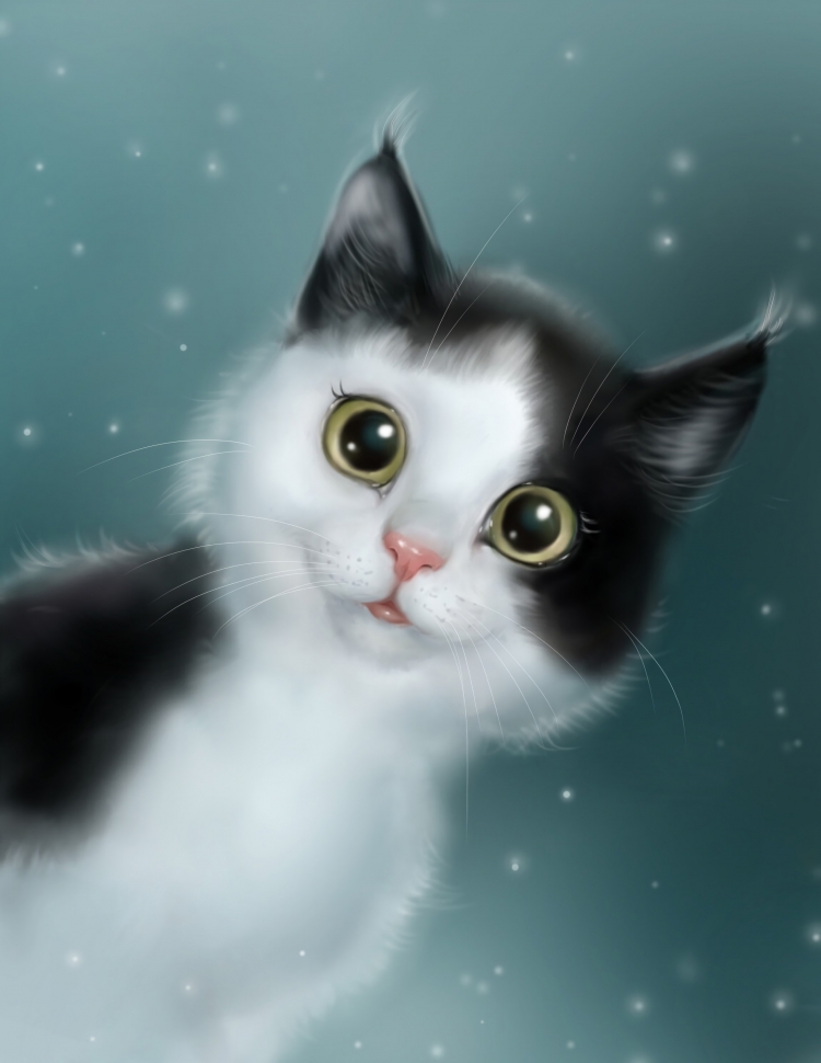 Котики арт