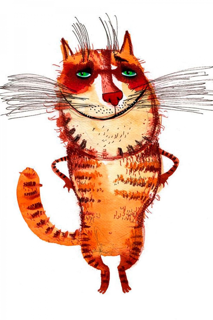 Смешной кот рисунок
