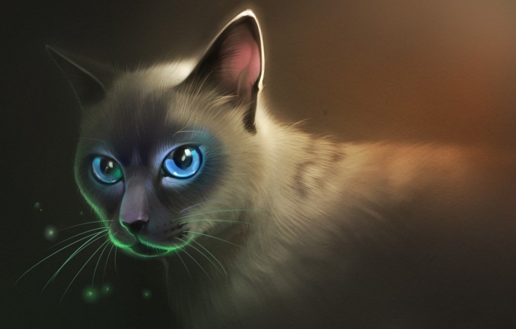 Сиамская кошка