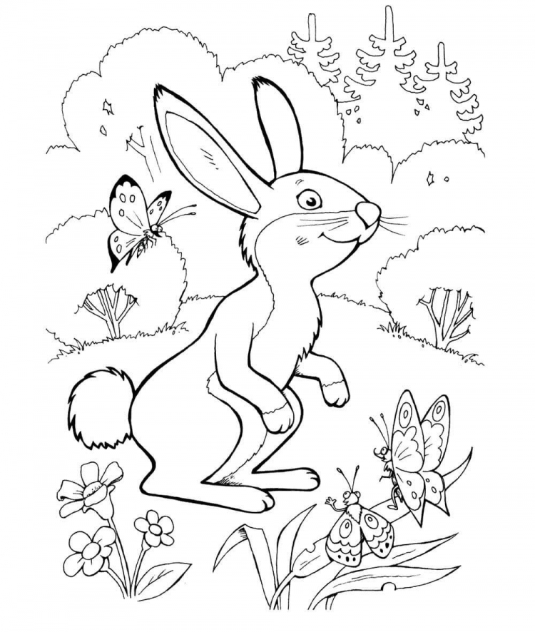 Рисунок к сказке про храброго зайца - 87 фото