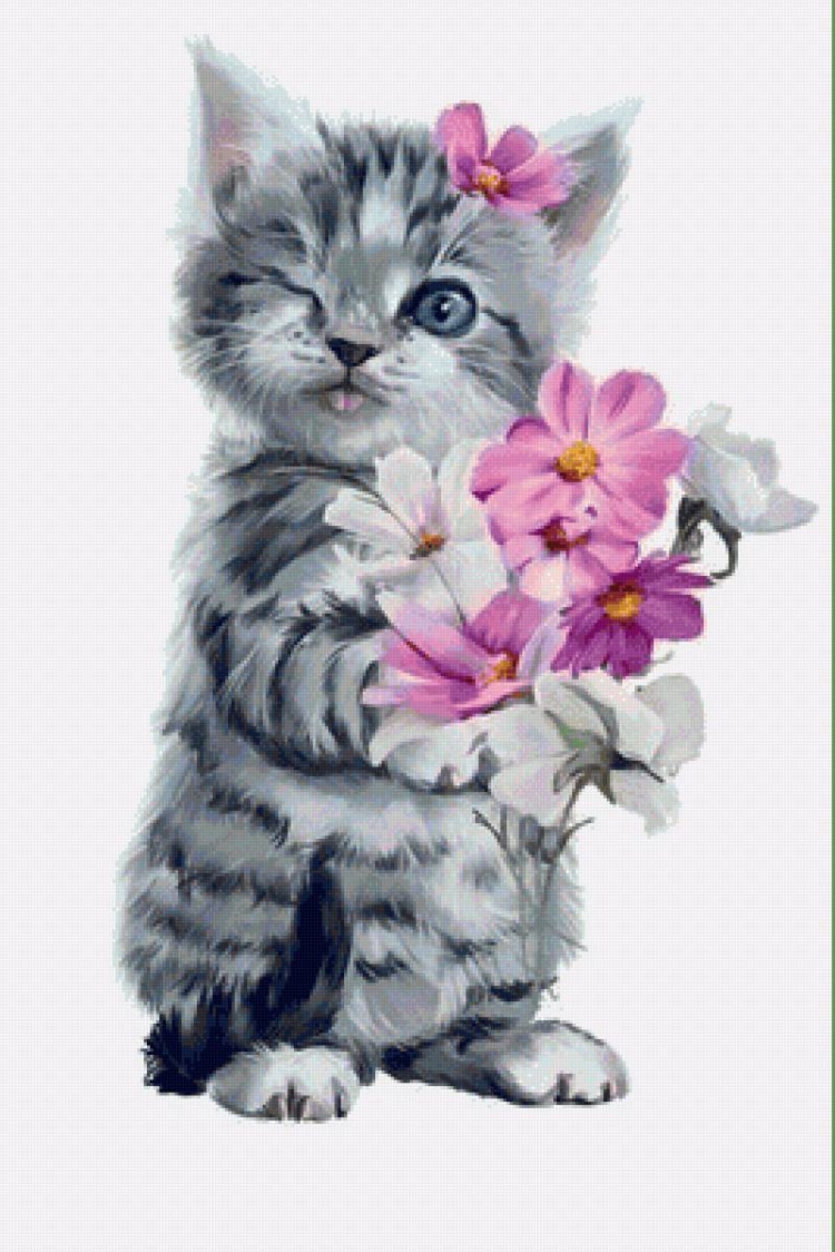 Котик с цветами рисунок