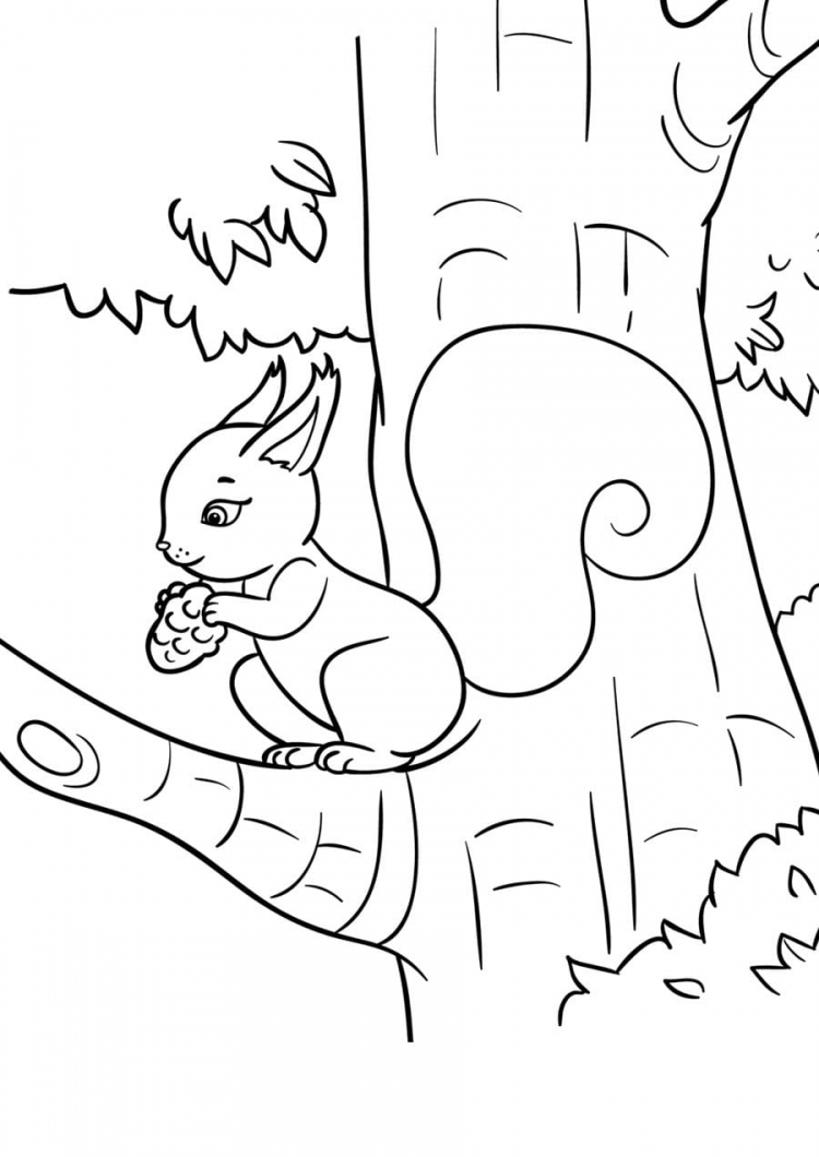 Белка на дереве рисунок