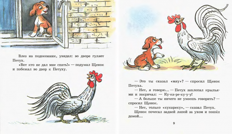 Сутеев сказки читательский дневник