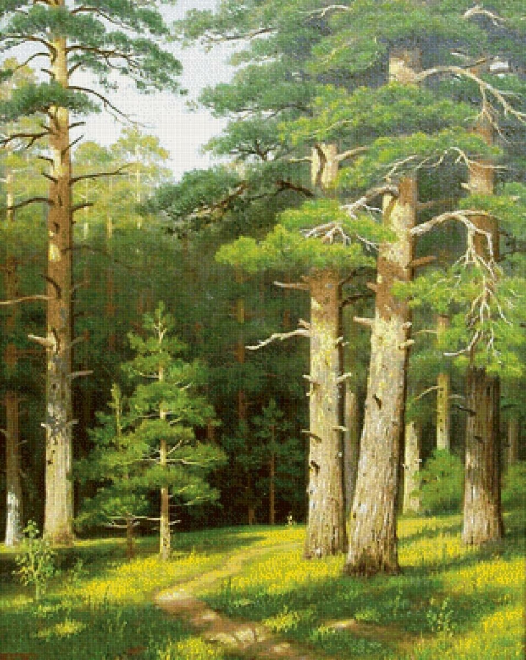 Сосновый лес рисунок