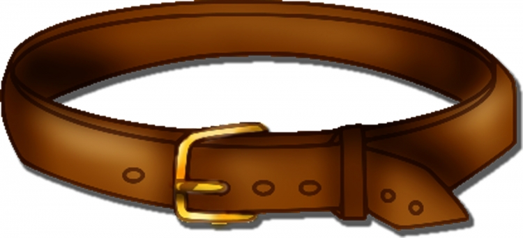Ошейник Leash Collar