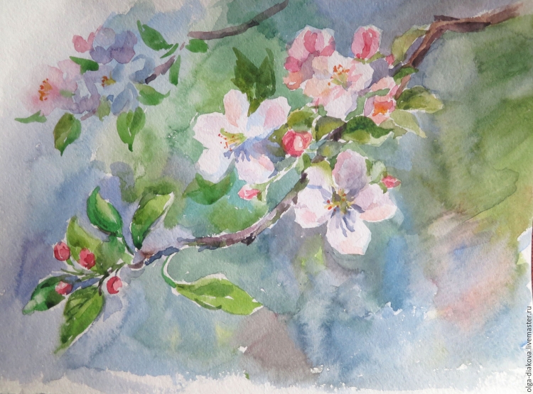 Ветка цветущей яблони рисунок