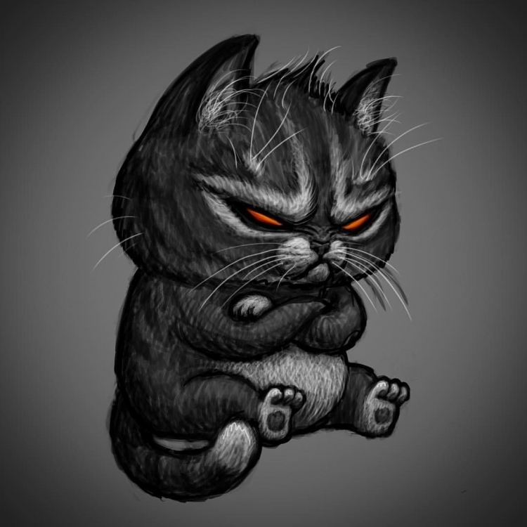 Злой котик рисунок