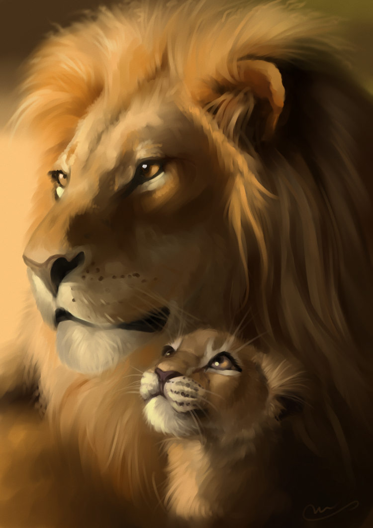 Лев и львица рисунок