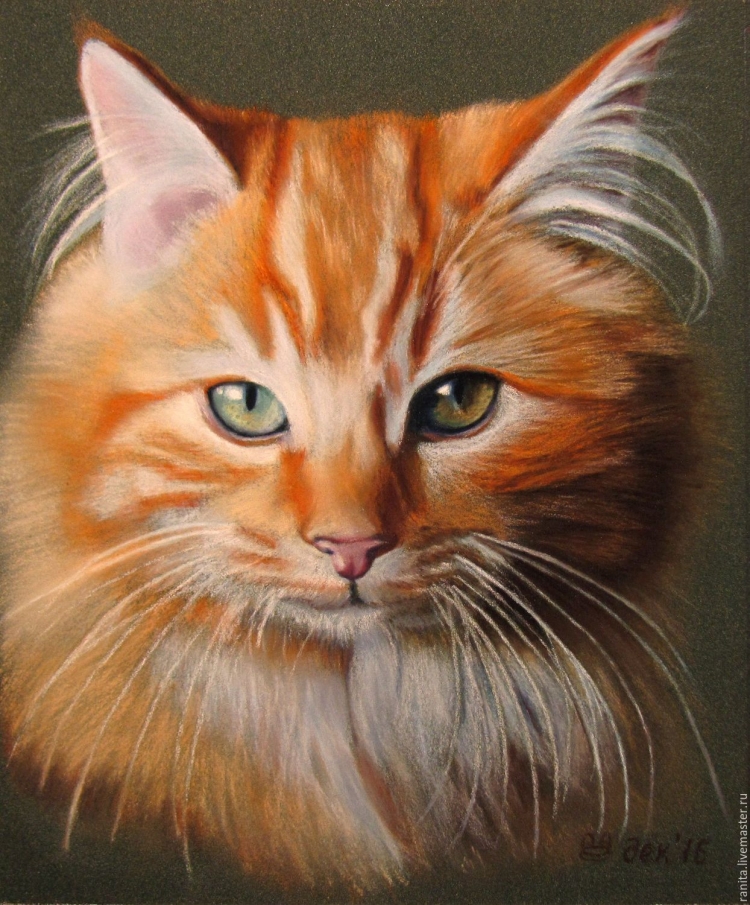 Нарисованный рыжий кот