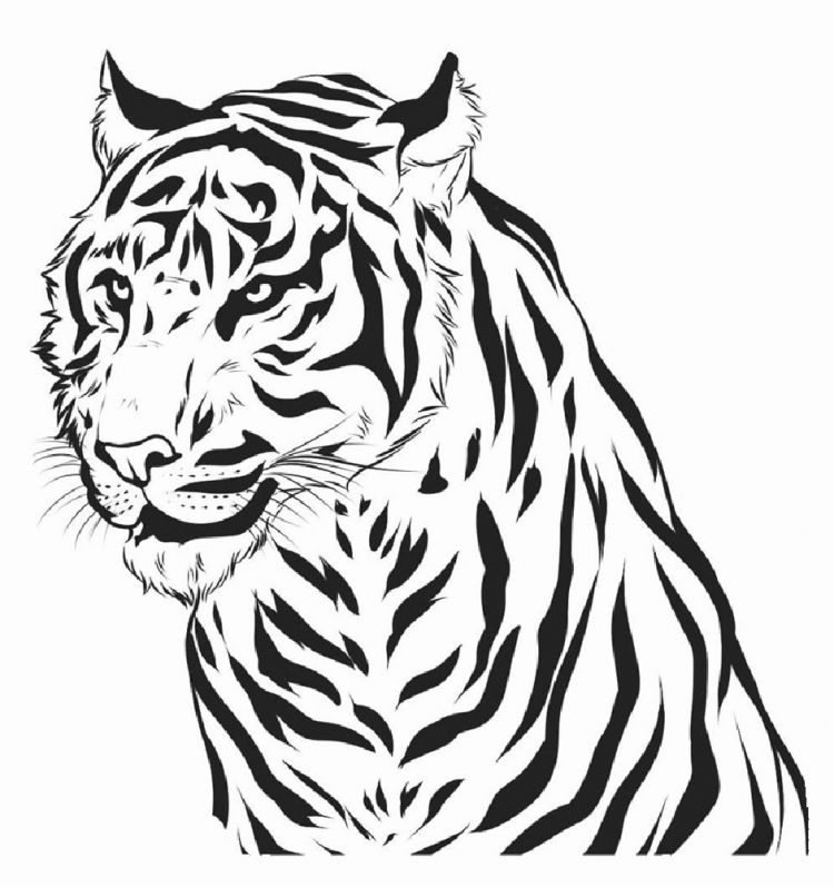 Тигр рисунок контур