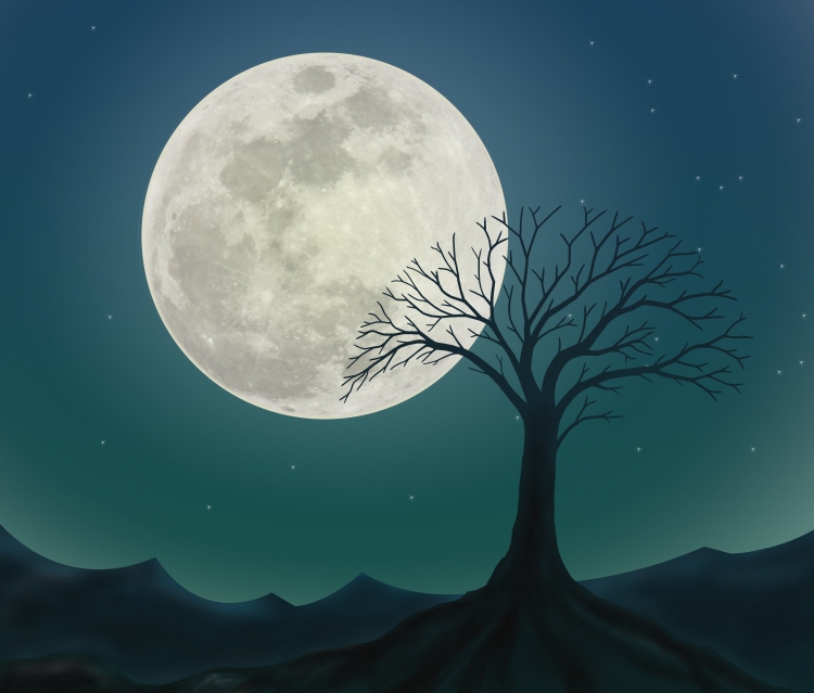 Лунная ночь рисунок