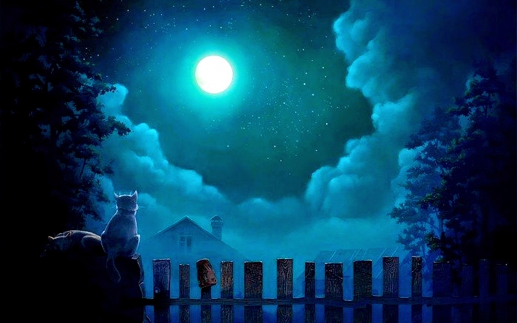 Ночь Луна