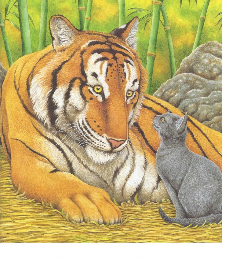 Тигрица и кот