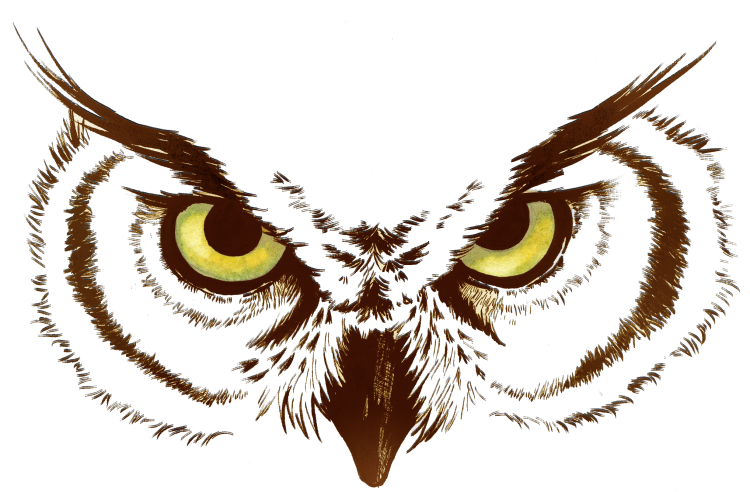 Голова совы рисунок