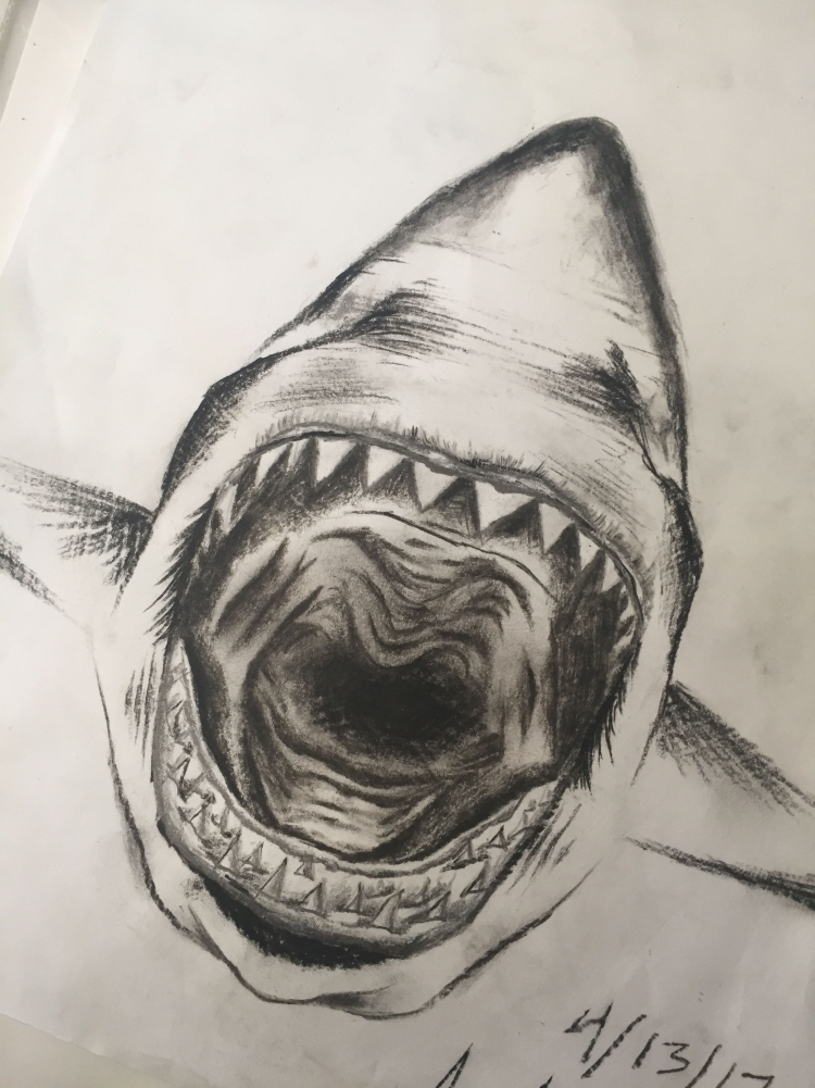 Пасть акулы рисунок