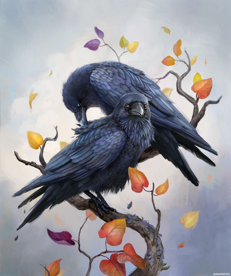 Ворона на дереве рисунок
