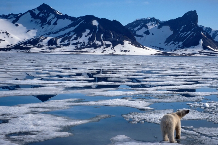 The Arctic National Wildlife Refuge