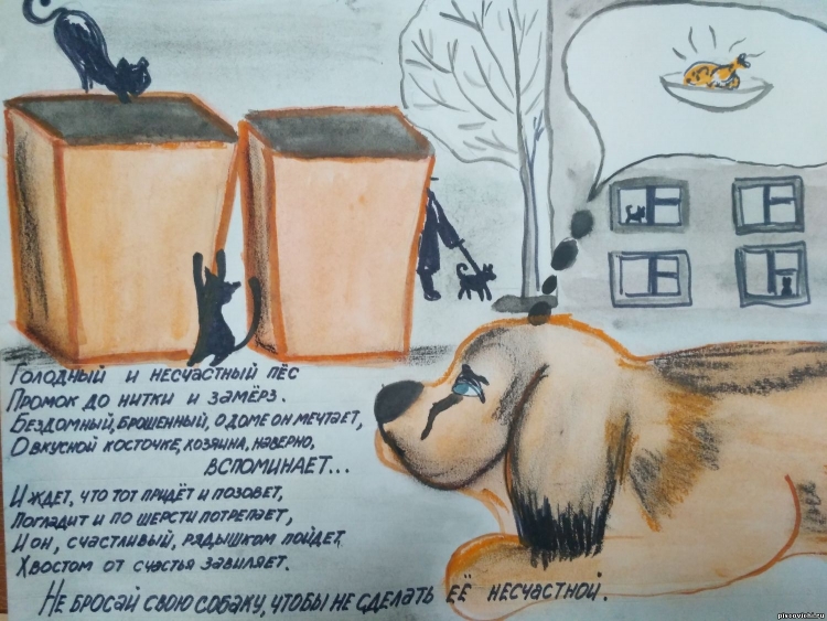 Плакат в защиту бездомных животных