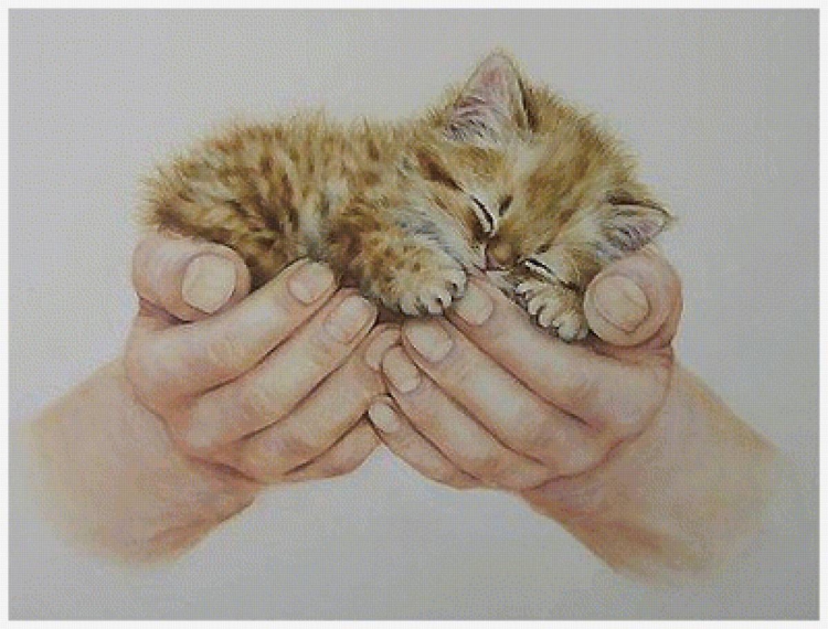 Котенок в руках рисунок