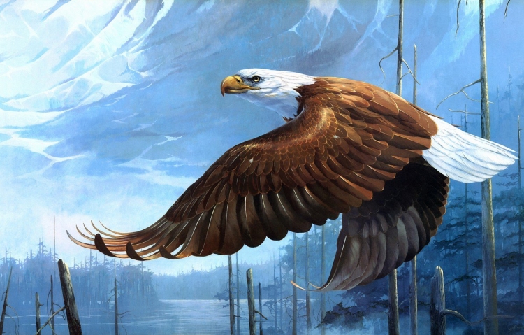 Летящий орел рисунок