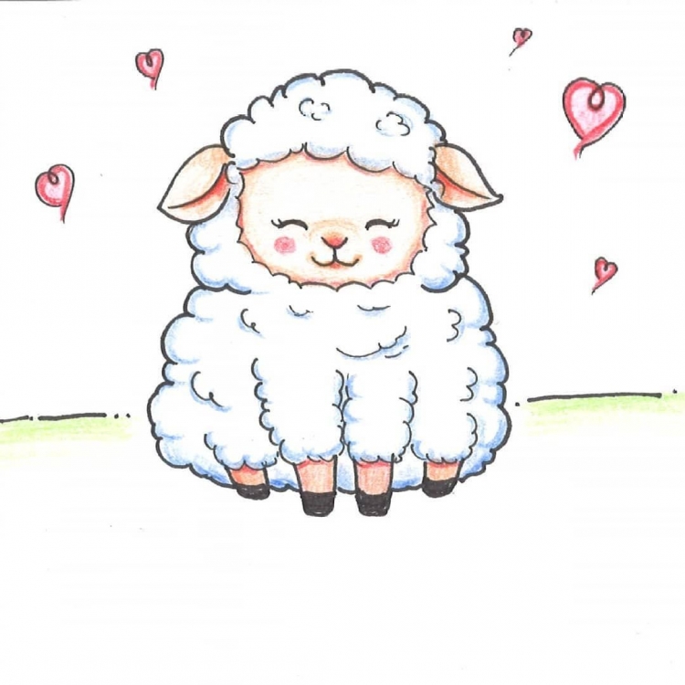 Милая овечка рисунок