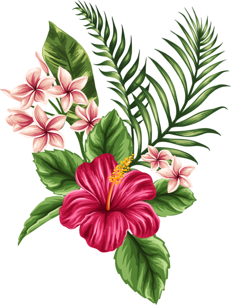 Тропические растения рисунок