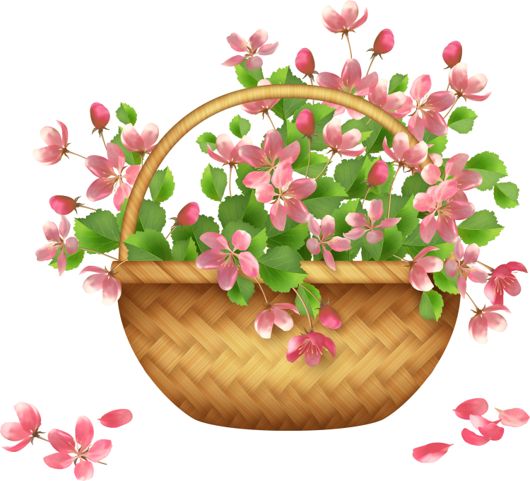 Корзина с цветами вектор