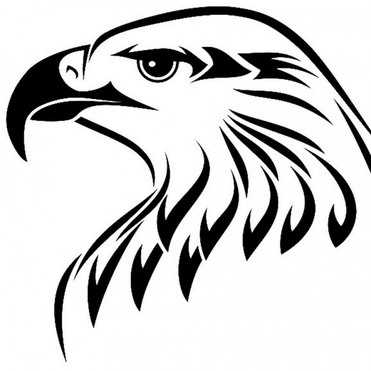 Орел черно белый рисунок